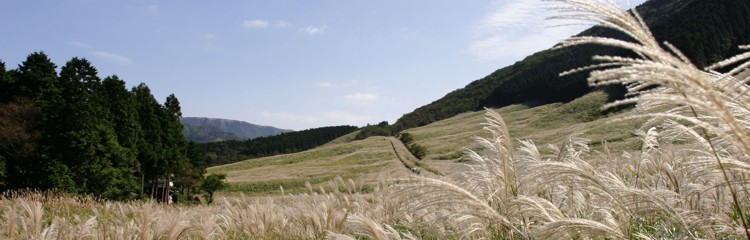 箱根・仙石原の美味しいお食事 高原茶寮 福風 オフィシャルホームページ